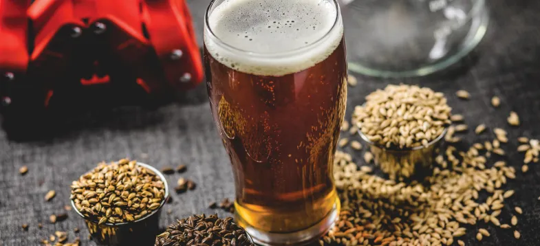  啤酒发酵历程大揭秘！vAPCI+CMS 联用新手艺怎样快速捕获风韵密码？？？？？？